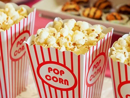 Vocabulary of cinema